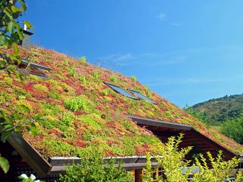 Image 09 de la galerie - HORD'O