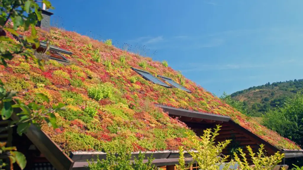 Toit végétalisé réalisés par Hordo