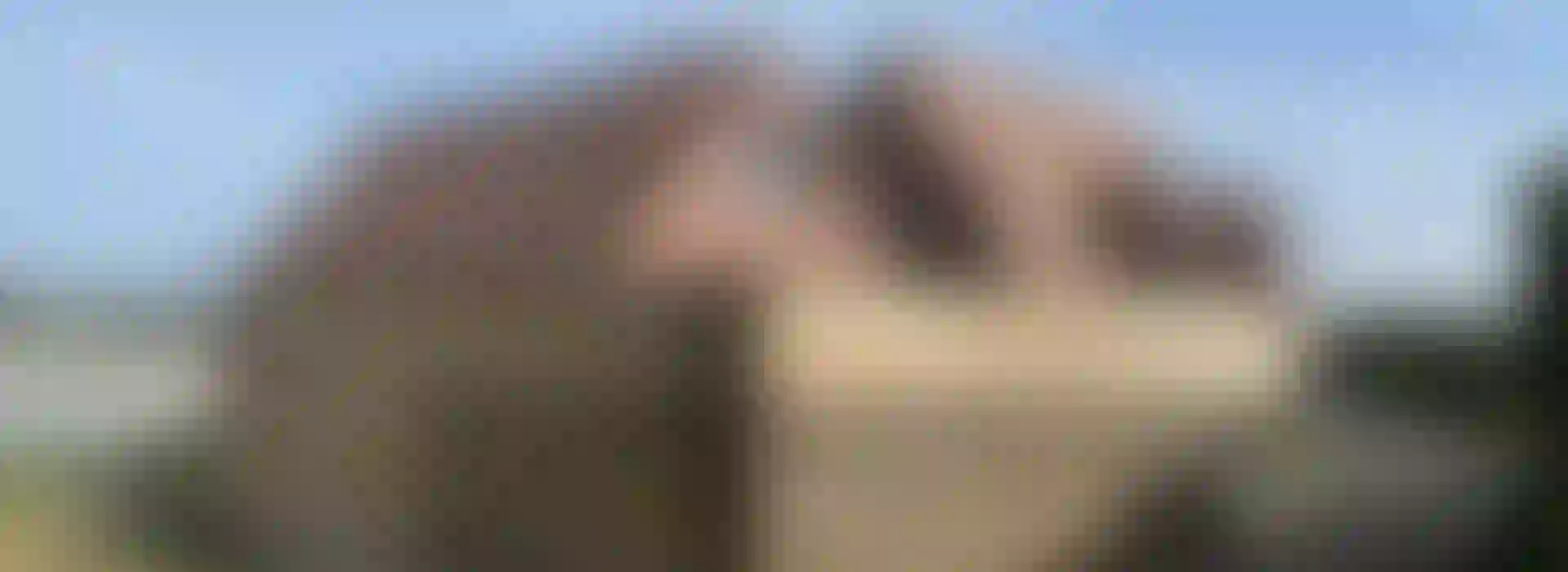 Image du carousel de HORD'O N°1